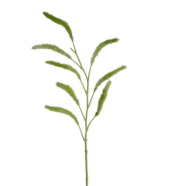 Gräs | 110 cm